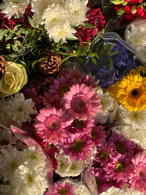 A vibrant arrangement of fresh flowers featuring pink gerbera daisies, white chrysanthemums, deep red azaleas, bright yellow daisies, and white roses, all intricately assembled with lush green foliage